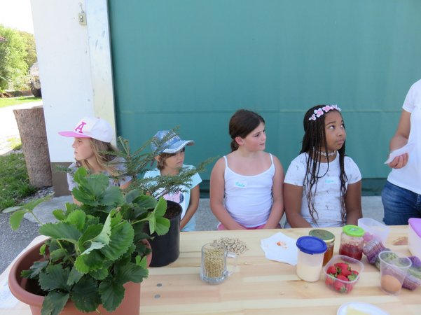 Ferienspielaktion "Agrar- und Genussolympiade"