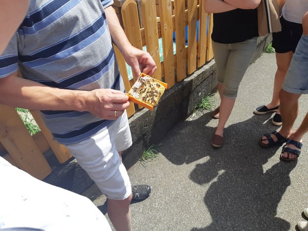 Ausflug zur Bio-Imkerei Neubauer in Sipbachzell