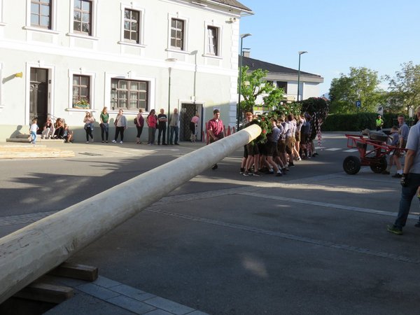 Traditionelles Maibaum-Aufstellen